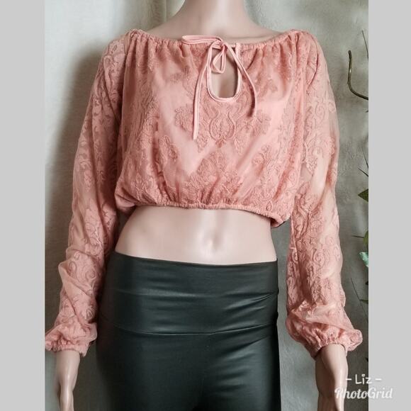 Honey Punch Rose Pink Lace Long Sleeve Crop Top - Picture 1 of 6